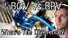 Bov Vs Bpv What S The Real Difference